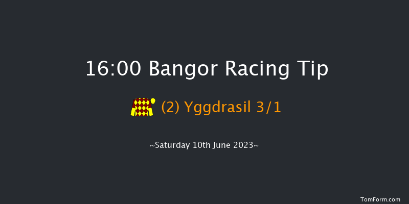 Bangor 16:00 Handicap Chase (Class 4) 20f Sat 20th May 2023