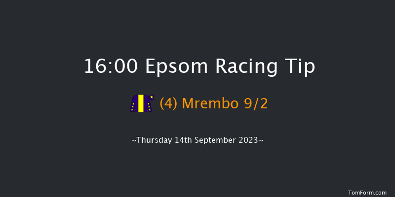 Epsom 16:00 Handicap (Class 5) 10f Mon 28th Aug 2023