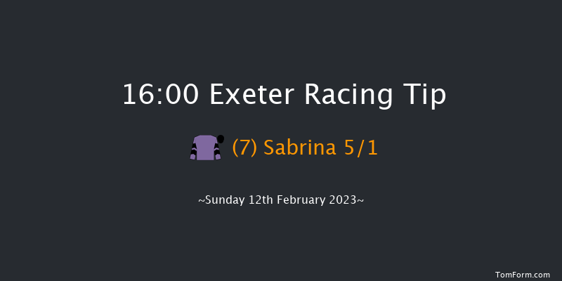 Exeter 16:00 Handicap Hurdle (Class 2) 23f Wed 1st Feb 2023