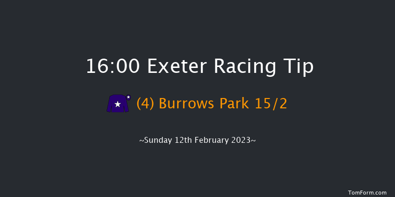 Exeter 16:00 Handicap Hurdle (Class 2) 23f Wed 1st Feb 2023