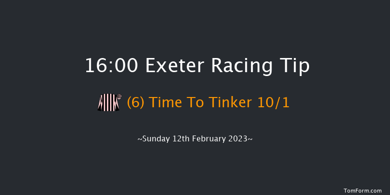 Exeter 16:00 Handicap Hurdle (Class 2) 23f Wed 1st Feb 2023