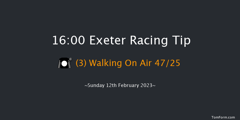 Exeter 16:00 Handicap Hurdle (Class 2) 23f Wed 1st Feb 2023