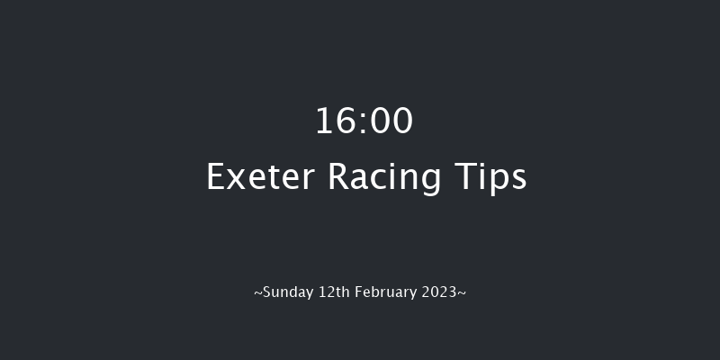 Exeter 16:00 Handicap Hurdle (Class 2) 23f Wed 1st Feb 2023
