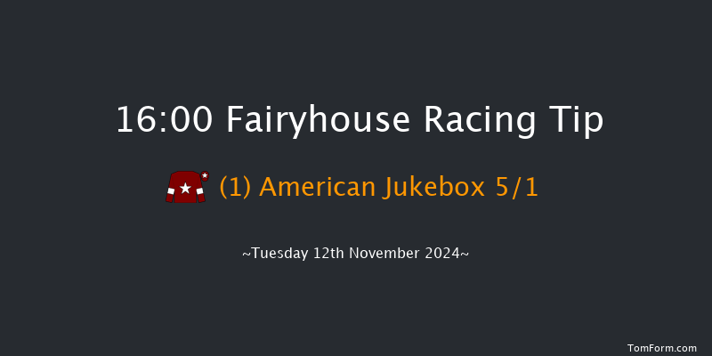 Fairyhouse  16:00 NH Flat Race 16f Tue 5th Nov 2024
