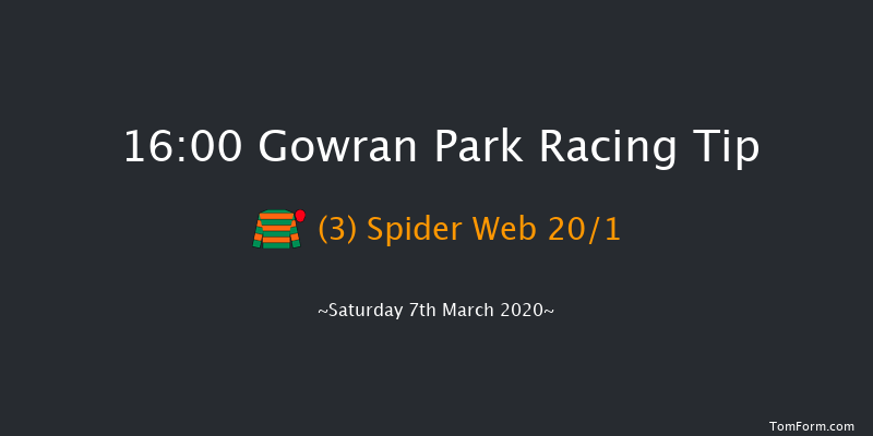 Holden Plant Rentals Shamrock Handicap Chase (Grade B) Gowran Park 16:00 Handicap Chase 18f Sat 15th Feb 2020