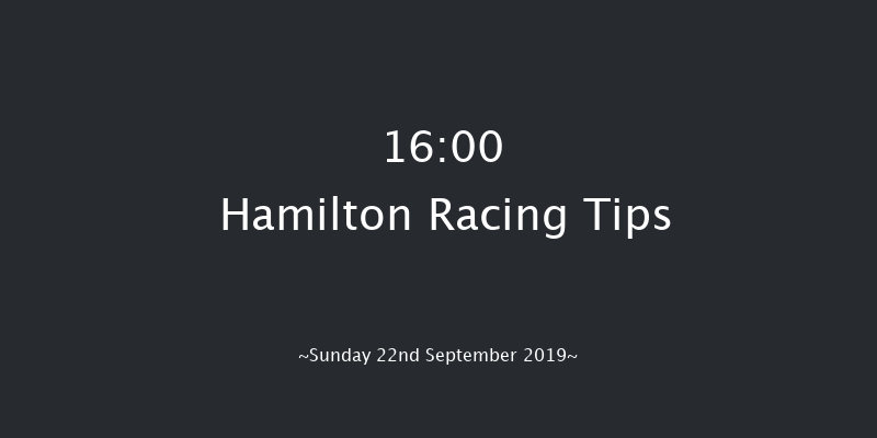 Hamilton 16:00 Stakes (Class 5) 8f Fri 30th Aug 2019