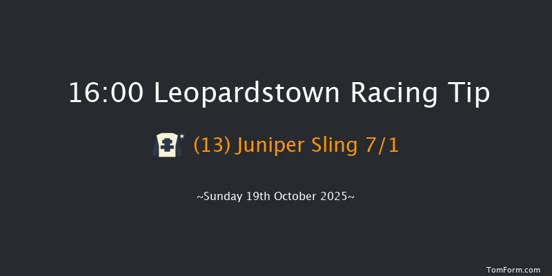 Leopardstown 16-00 10f Sat 18th Oct 2025