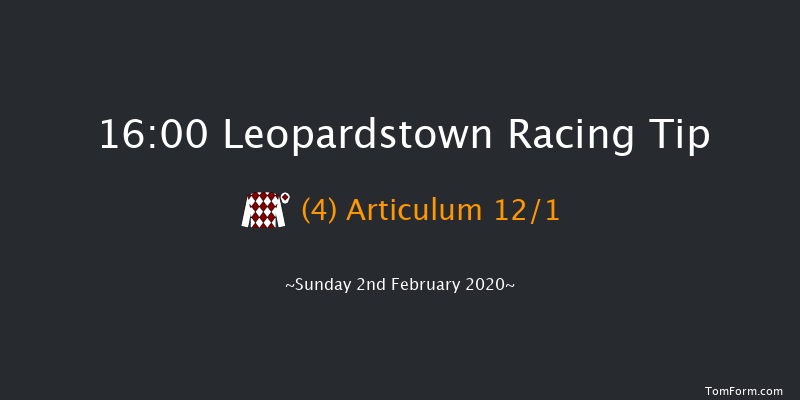 Leopardstown 16:00 Handicap Chase 21f Sat 1st Feb 2020