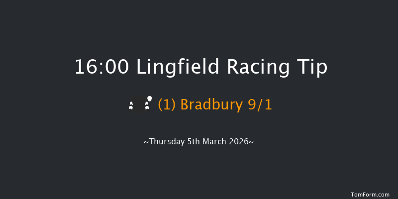 Lingfield 16-00 (Class 6) 10f Sat 28th Feb 2026