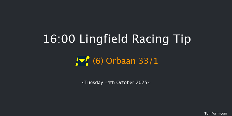 Lingfield 16-00 (Class 4) 8f Tue 23rd Sep 2025