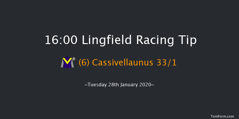 Lingfield 16:00 Handicap Hurdle (Class 5) 20f Sat 25th Jan 2020