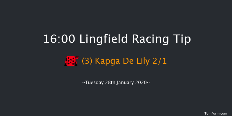 Lingfield 16:00 Handicap Hurdle (Class 5) 20f Sat 25th Jan 2020