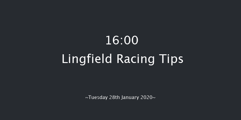 Lingfield 16:00 Handicap Hurdle (Class 5) 20f Sat 25th Jan 2020