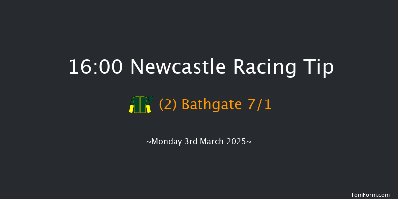 Newcastle  16:00 Handicap Hurdle (Class 4) 17f Sat 1st Mar 2025