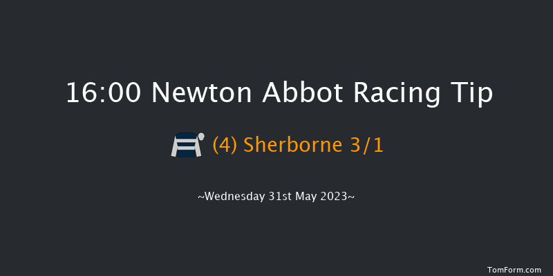 Newton Abbot 16:00 Handicap Hurdle (Class 4) 22f Wed 17th May 2023