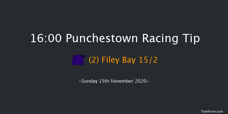 Love Food At Rathsallagh Golf Club (pro/am) Flat Race Punchestown 16:00 NH Flat Race 16f Sat 14th Nov 2020