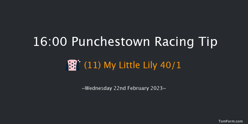 Punchestown 16:00 Handicap Hurdle 20f Sun 19th Feb 2023
