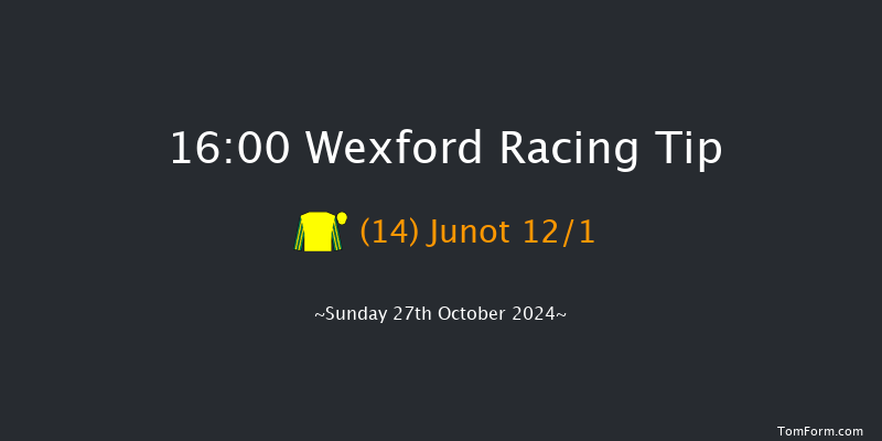 Wexford  16:00 Handicap Hurdle 20f Fri 30th Aug 2024