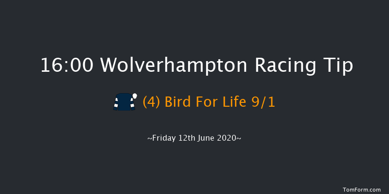 Sky Sports Racing Virgin 535 Handicap Wolverhampton 16:00 Handicap (Class 6) 16f Wed 10th Jun 2020