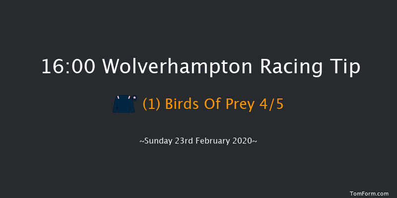 Visit Novibet Casino 'Jumpers' Bumper' NH Flat Race Wolverhampton 16:00 16f Fri 21st Feb 2020
