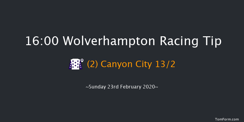 Visit Novibet Casino 'Jumpers' Bumper' NH Flat Race Wolverhampton 16:00 16f Fri 21st Feb 2020