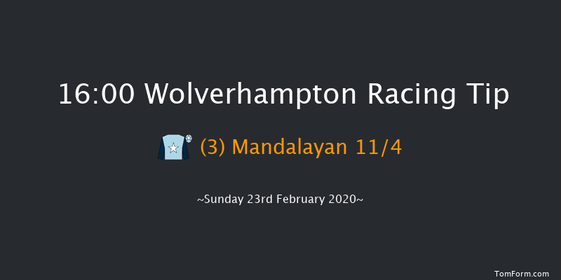Visit Novibet Casino 'Jumpers' Bumper' NH Flat Race Wolverhampton 16:00 16f Fri 21st Feb 2020