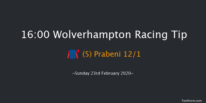 Visit Novibet Casino 'Jumpers' Bumper' NH Flat Race Wolverhampton 16:00 16f Fri 21st Feb 2020