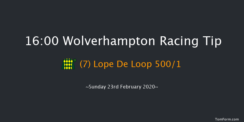 Visit Novibet Casino 'Jumpers' Bumper' NH Flat Race Wolverhampton 16:00 16f Fri 21st Feb 2020