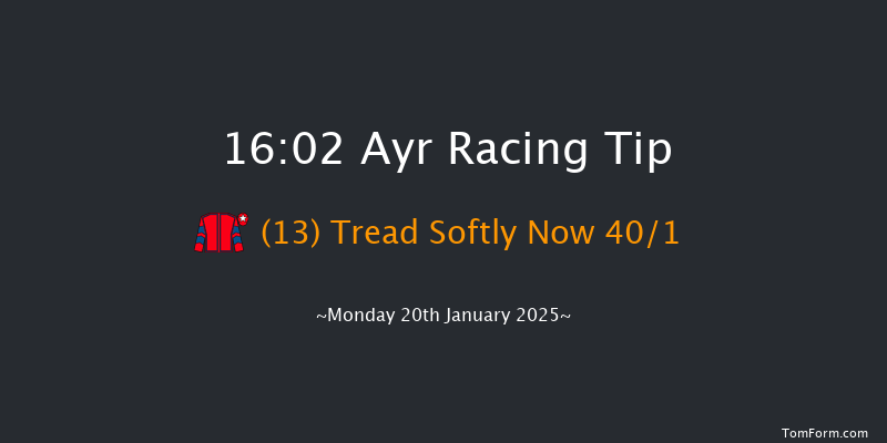 Ayr  16:02 Handicap Hurdle (Class 5) 16f Mon 6th Jan 2025