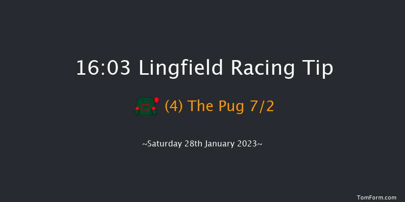Lingfield 16:03 Handicap (Class 6) 10f Fri 27th Jan 2023
