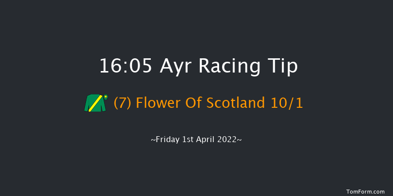Ayr 16:05 Handicap Hurdle (Class 2) 24f Sat 12th Mar 2022