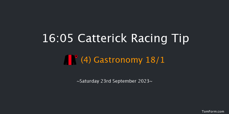 Catterick 16:05 Handicap (Class 4) 14f Tue 12th Sep 2023
