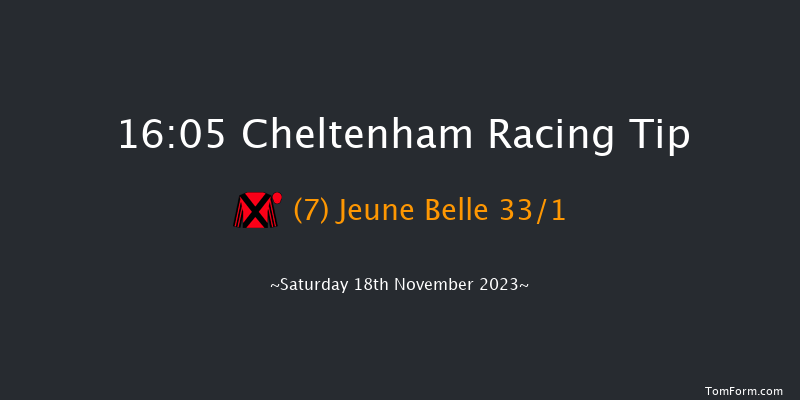 Cheltenham 16:05 NH Flat Race (Class 1) 16f Fri 17th Nov 2023