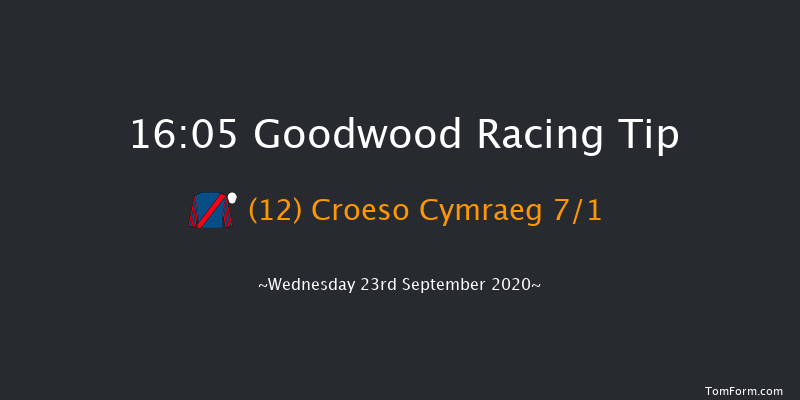 Join tote.co.uk With 10 Risk Free Handicap Goodwood 16:05 Handicap (Class 4) 9f Tue 8th Sep 2020
