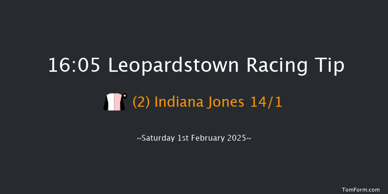 Leopardstown  16:05 Handicap Chase 17f Sun 29th Dec 2024