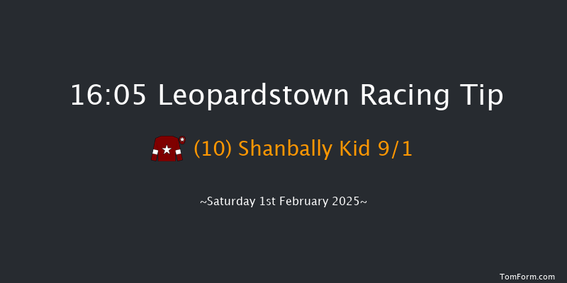 Leopardstown  16:05 Handicap Chase 17f Sun 29th Dec 2024