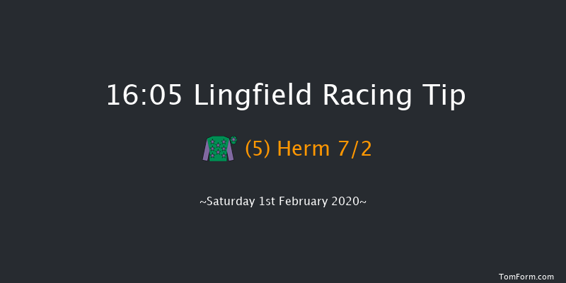 Lingfield 16:05 Handicap (Class 6) 13f Fri 31st Jan 2020