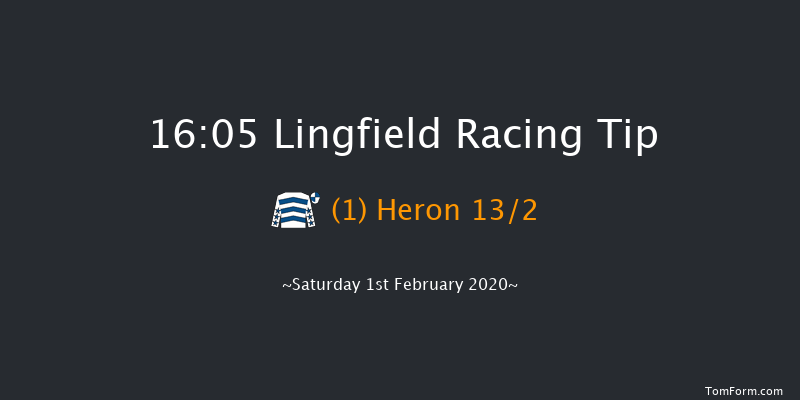 Lingfield 16:05 Handicap (Class 6) 13f Fri 31st Jan 2020