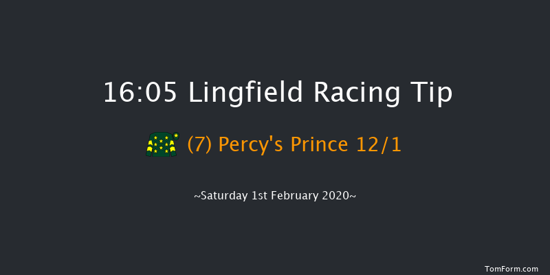 Lingfield 16:05 Handicap (Class 6) 13f Fri 31st Jan 2020