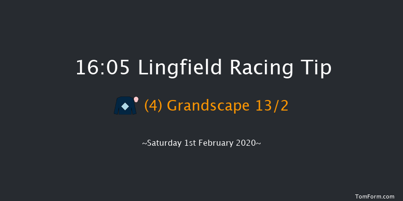 Lingfield 16:05 Handicap (Class 6) 13f Fri 31st Jan 2020