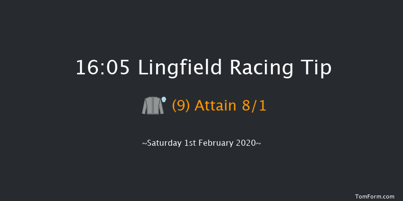 Lingfield 16:05 Handicap (Class 6) 13f Fri 31st Jan 2020
