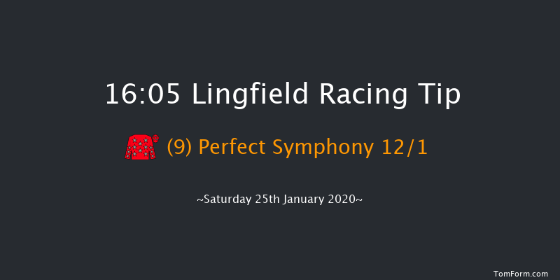 Lingfield 16:05 Handicap (Class 6) 6f Fri 24th Jan 2020