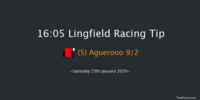 Lingfield 16:05 Handicap (Class 6) 6f Fri 24th Jan 2020