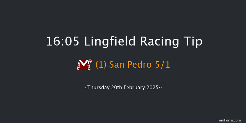 Lingfield  16:05 Handicap Hurdle (Class 5) 23f Sun 16th Feb 2025