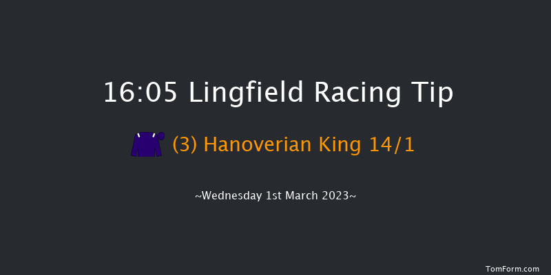 Lingfield 16:05 Stakes (Class 6) 8f Sat 25th Feb 2023