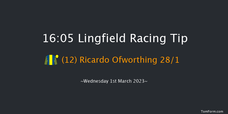 Lingfield 16:05 Stakes (Class 6) 8f Sat 25th Feb 2023