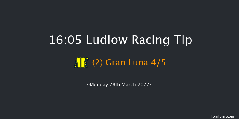 Ludlow 16:05 Handicap Hurdle (Class 3) 21f Wed 23rd Mar 2022