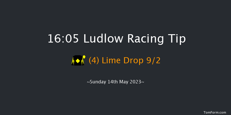 Ludlow 16:05 Handicap Chase (Class 4) 20f Tue 9th May 2023