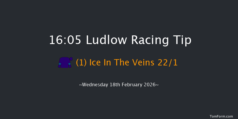 Ludlow 16-05 (Class 4) 15f Wed 4th Feb 2026