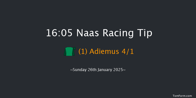 Naas  16:05 NH Flat Race 19f Sun 5th Jan 2025